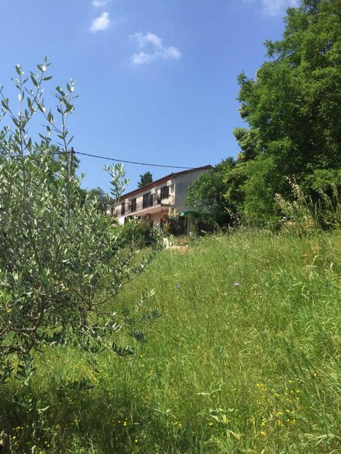 Apartment Dedo, Salara Farmhouse コペル エクステリア 写真