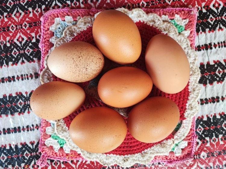 Apartment Dedo, Salara Farmhouse コペル エクステリア 写真